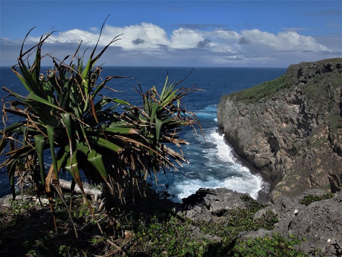 Coral island and lord of the flies