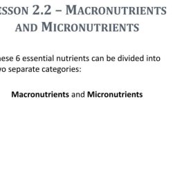 Lesson 13.1 sources of micronutrients