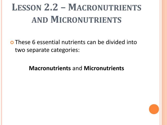 Lesson 13.1 sources of micronutrients