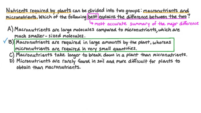 Nutrients micronutrients macronutrients flow whopping studying constituents