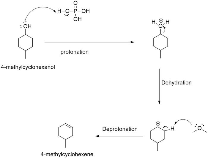 Dehydration mechanism of 4 methylcyclohexanol