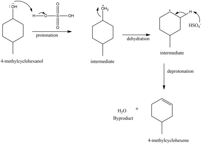 Dehydration mechanism of 4 methylcyclohexanol