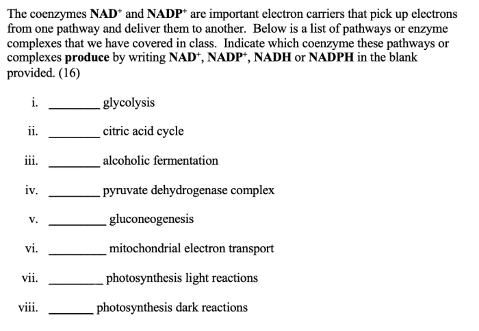 Which of the following statements describes nad+